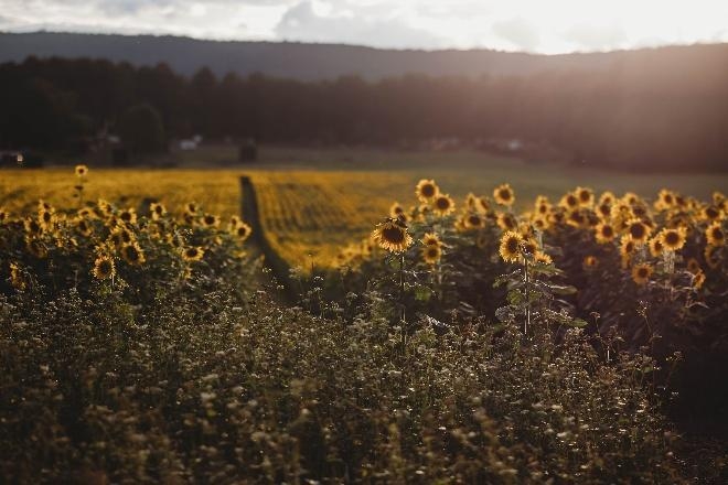 Farming is where it starts.